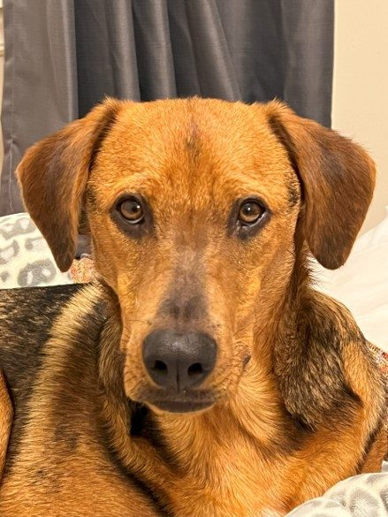Able, the family member MyAble Inc. is named after